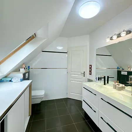 Maison Lumineuse A Torcy *