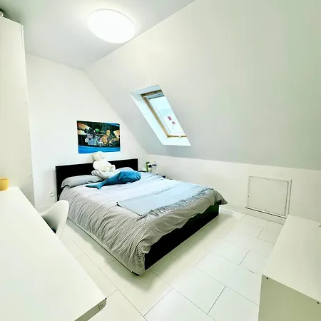 Maison Lumineuse A Torcy